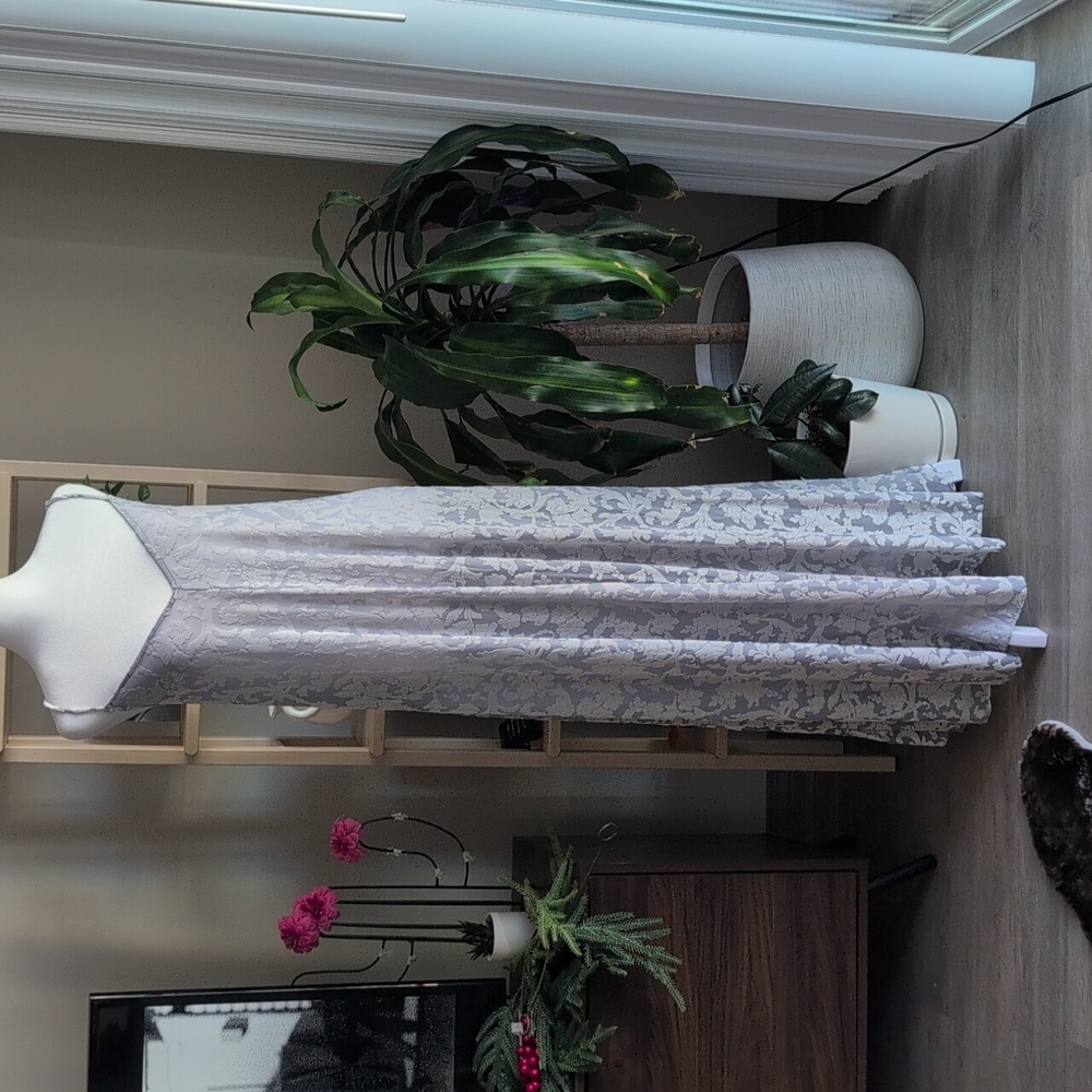 Free People Maxi Sheer Dress Frosted Grey Velvet Burnout Size M, NWT